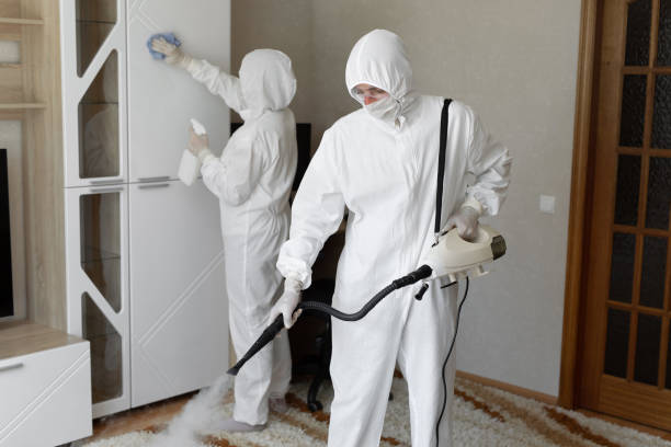 24/7 Emergency Odor Removal experts in Palm Desert, CA
