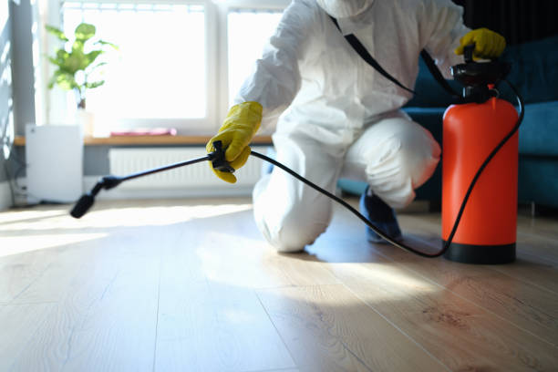 Reliable Odor Removal contractor in Palm Desert, CA by Dulley Family Biohazard Services